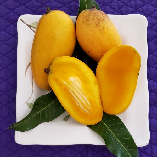 Fruit Variety Picture
